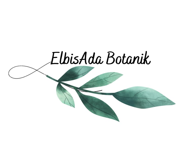 ElbisAda Botanik